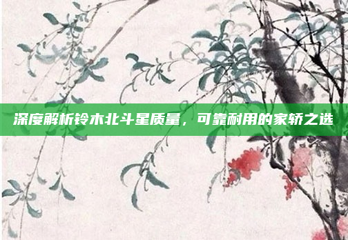 深度解析铃木北斗星质量，可靠耐用的家轿之选