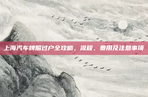 上海汽车牌照过户全攻略,流程、费用及注意事项