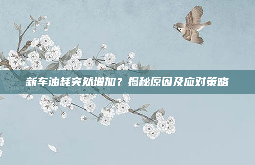 新车油耗突然增加?揭秘原因及应对策略