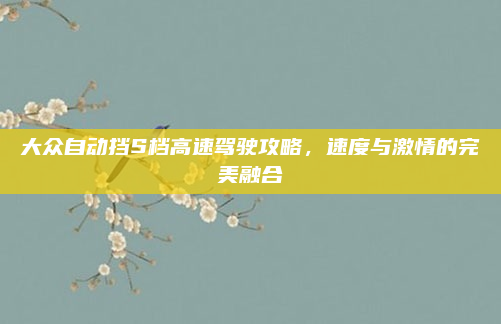 大众自动挡S档高速驾驶攻略,速度与激情的完美融合