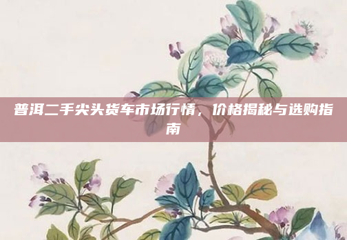 普洱二手尖头货车市场行情,价格揭秘与选购指南