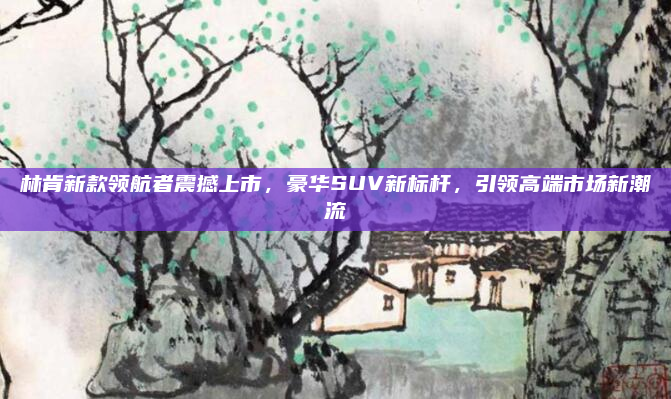 林肯新款领航者震撼上市,豪华SUV新标杆,引领高端市场新潮流