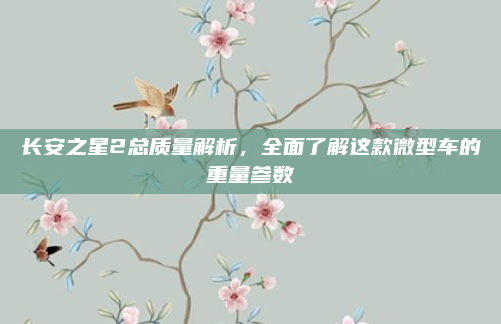 长安之星2总质量解析,全面了解这款微型车的重量参数