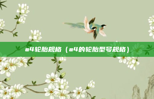 a4轮胎规格（a4的轮胎型号规格）