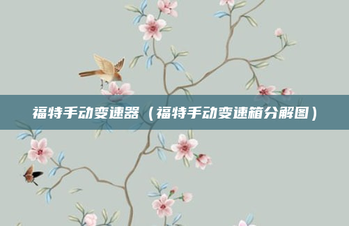 福特手动变速器(福特手动变速箱分解图)