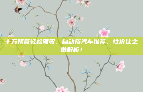 十万预算轻松驾驭,自动挡汽车推荐,性价比之选解析!