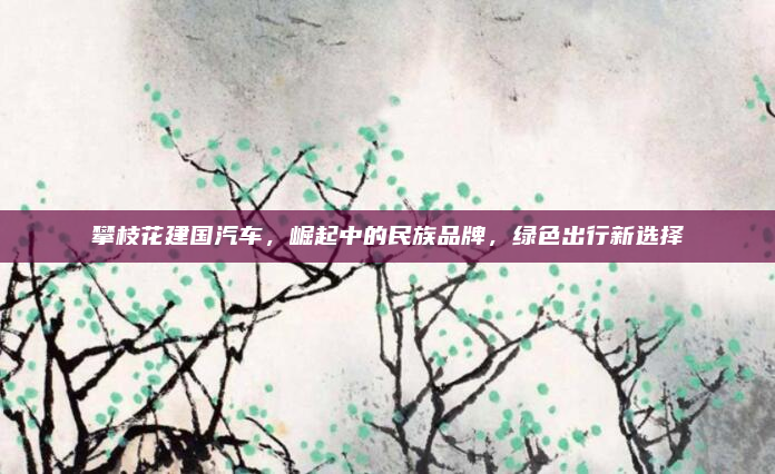攀枝花建国汽车，崛起中的民族品牌，绿色出行新选择