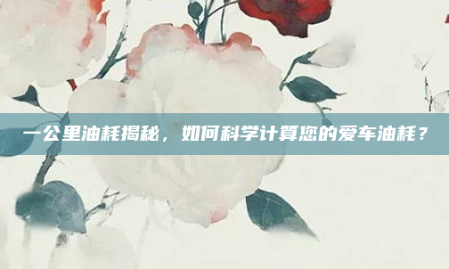 一公里油耗揭秘，如何科学计算您的爱车油耗？