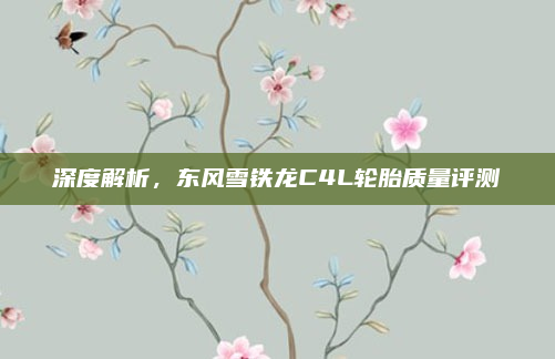 深度解析,东风雪铁龙C4L轮胎质量评测