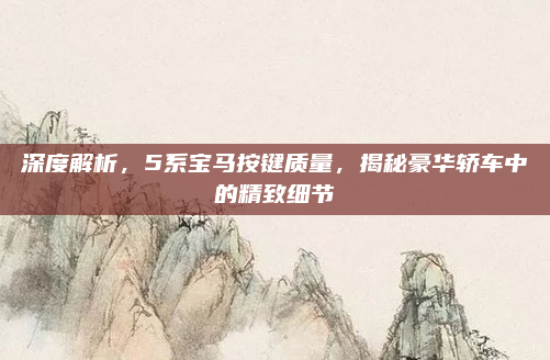 深度解析，5系宝马按键质量，揭秘豪华轿车中的精致细节