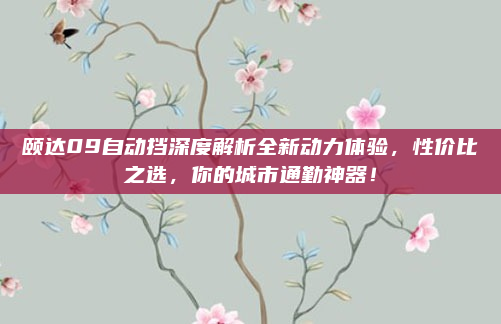 颐达09自动挡深度解析全新动力体验，性价比之选，你的城市通勤神器！