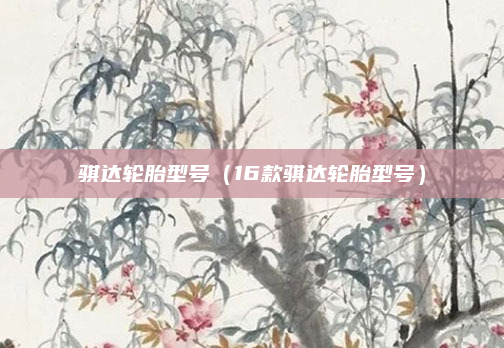 骐达轮胎型号(16款骐达轮胎型号)