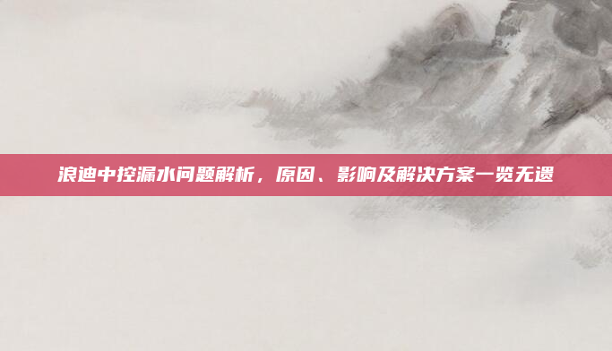浪迪中控漏水问题解析,原因、影响及解决方案一览无遗
