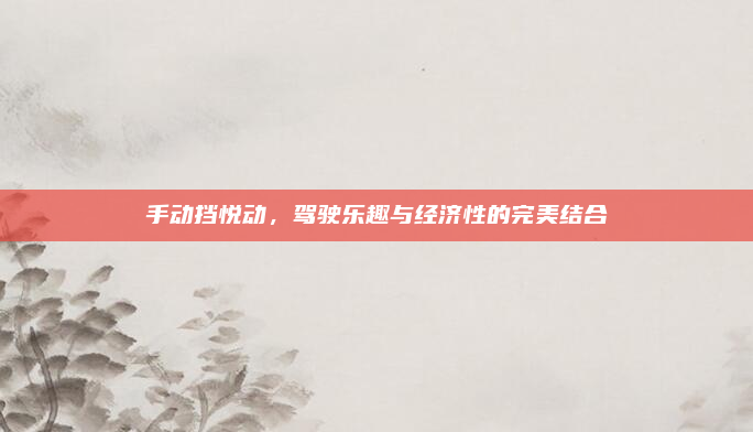 手动挡悦动,驾驶乐趣与经济性的完美结合
