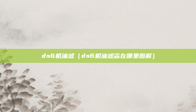 ds6机油滤（ds6机油滤芯在哪里图解）