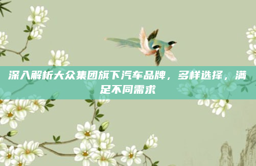 深入解析大众集团旗下汽车品牌，多样选择，满足不同需求