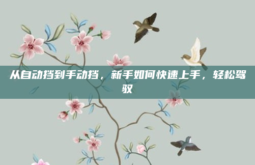 从自动挡到手动挡，新手如何快速上手，轻松驾驭
