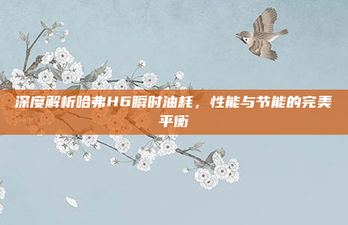 深度解析哈弗H6瞬时油耗，性能与节能的完美平衡