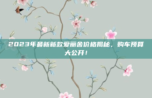 2023年最新新款爱丽舍价格揭秘,购车预算大公开!