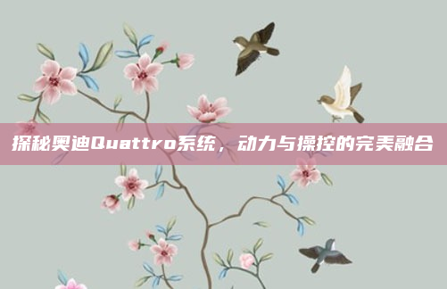 探秘奥迪Quattro系统,动力与操控的完美融合