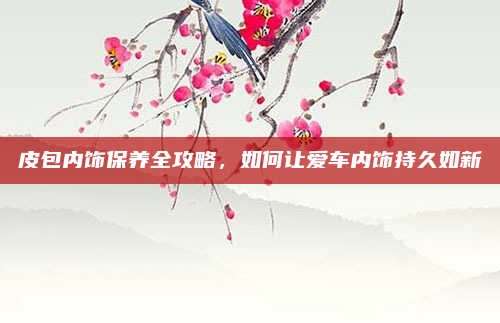 皮包内饰保养全攻略,如何让爱车内饰持久如新