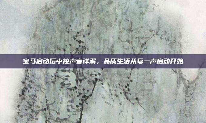 宝马启动后中控声音详解,品质生活从每一声启动开始