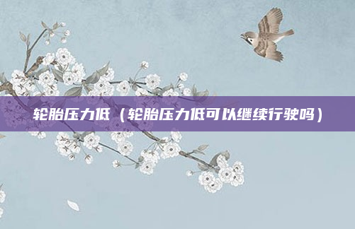轮胎压力低（轮胎压力低可以继续行驶吗）