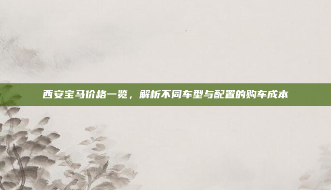 西安宝马价格一览，解析不同车型与配置的购车成本