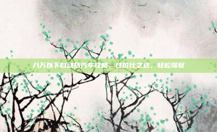 八万以下自动挡汽车攻略，性价比之选，轻松驾驭