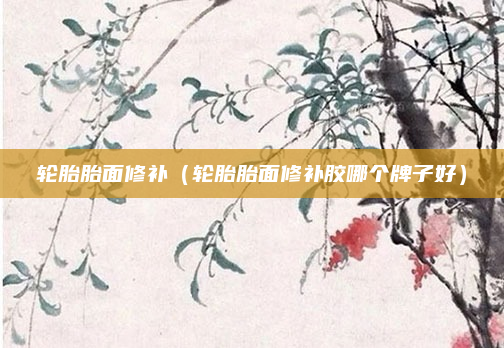 轮胎胎面修补（轮胎胎面修补胶哪个牌子好）