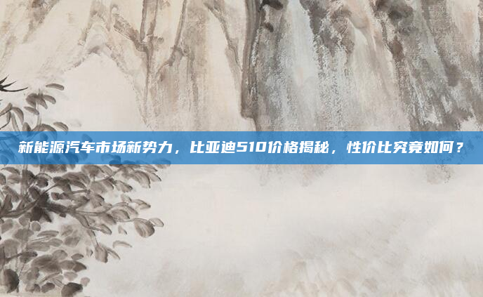 新能源汽车市场新势力，比亚迪510价格揭秘，性价比究竟如何？