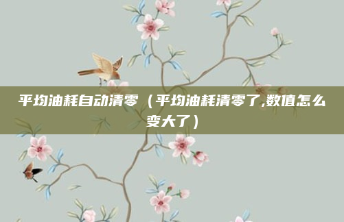 平均油耗自动清零(平均油耗清零了,数值怎么变大了)