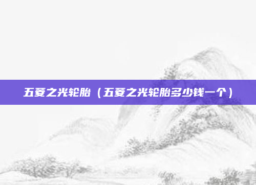 五菱之光轮胎（五菱之光轮胎多少钱一个）