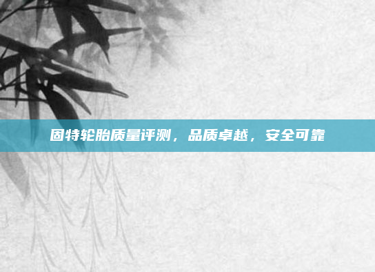 固特轮胎质量评测，品质卓越，安全可靠