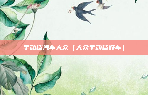 手动挡汽车大众（大众手动挡好车）