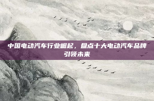 中国电动汽车行业崛起，盘点十大电动汽车品牌引领未来