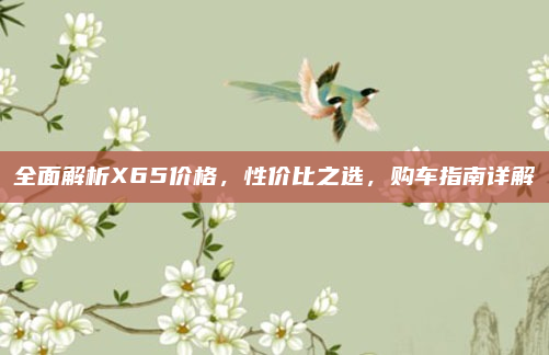 全面解析X65价格，性价比之选，购车指南详解