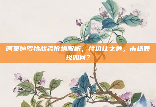 阿莫迪罗挑战者价格解析，性价比之选，市场表现如何？