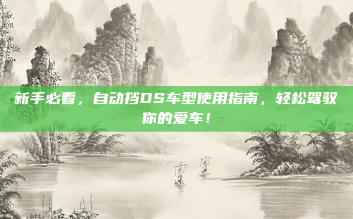新手必看,自动挡DS车型使用指南,轻松驾驭你的爱车!