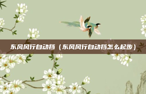 东风风行自动挡（东风风行自动挡怎么起步）