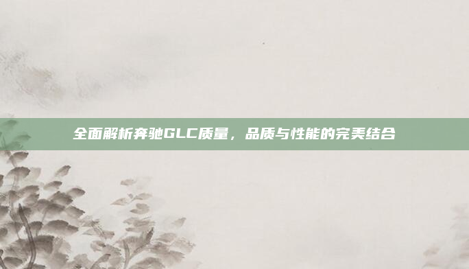 全面解析奔驰GLC质量,品质与性能的完美结合