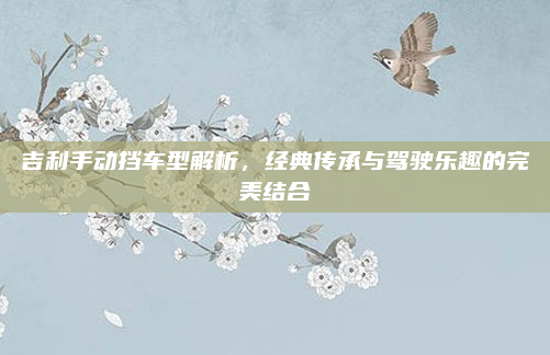 吉利手动挡车型解析，经典传承与驾驶乐趣的完美结合