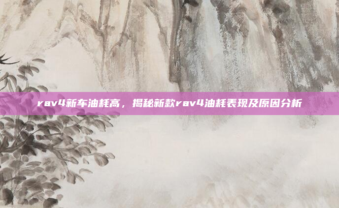 rav4新车油耗高，揭秘新款rav4油耗表现及原因分析