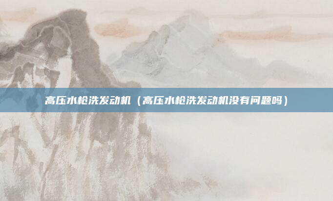高压水枪洗发动机（高压水枪洗发动机没有问题吗）