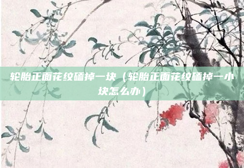 轮胎正面花纹磕掉一块（轮胎正面花纹磕掉一小块怎么办）