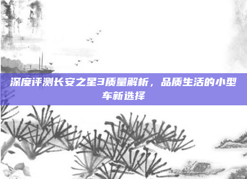 深度评测长安之星3质量解析,品质生活的小型车新选择