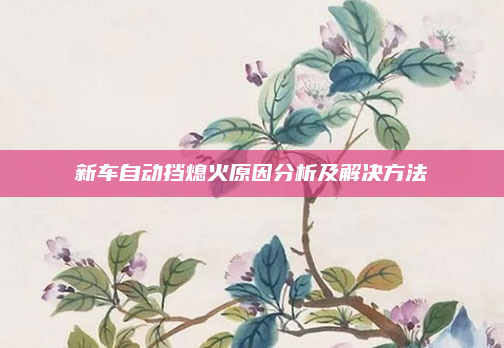 新车自动挡熄火原因分析及解决方法