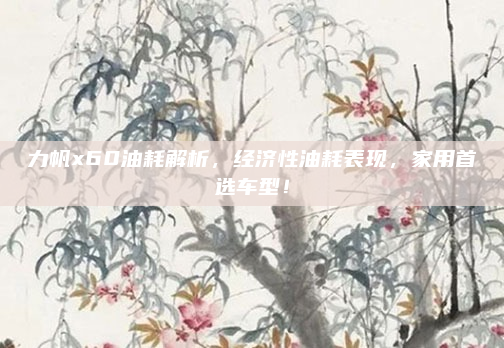 力帆x60油耗解析，经济性油耗表现，家用首选车型！