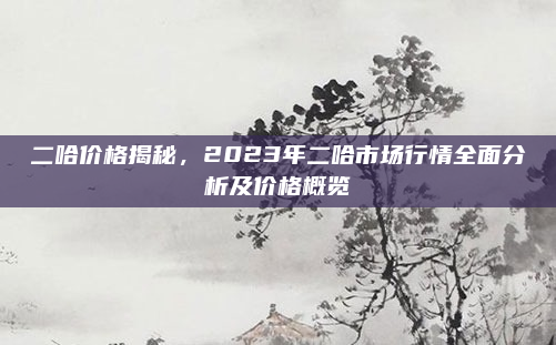 二哈价格揭秘，2023年二哈市场行情全面分析及价格概览