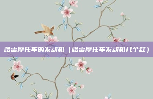 哈雷摩托车的发动机（哈雷摩托车发动机几个缸）